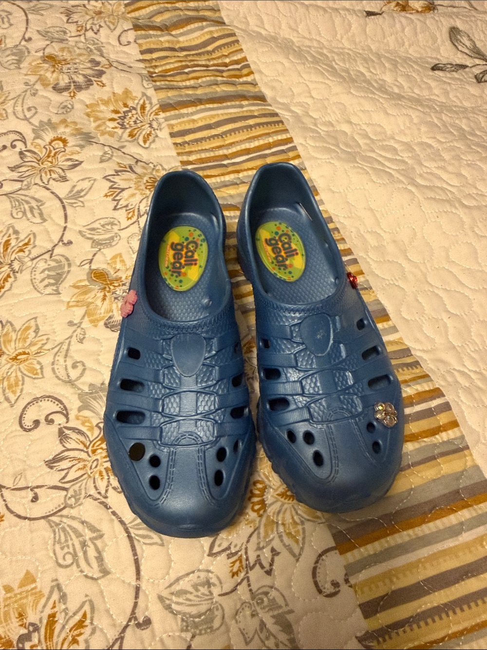 Skechers Blue Slip-On Water Shoes